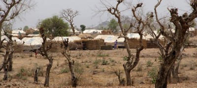 Secretary-General repeats call for support to Lake Chad countries after latest Boko Haram attack