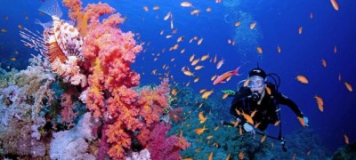Coral reefs canâ€™t wait for world to take action, urges UN, as Biodiversity Conference gets underway