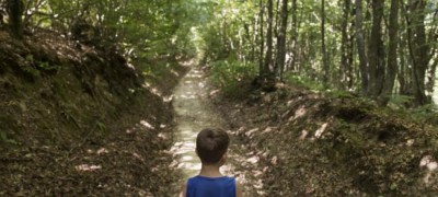 â€˜At riskâ€™ Mediterranean forests make â€˜vital contributionsâ€™ to development