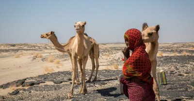 Security Council hails â€˜historic and significantâ€™ joint peace declaration by Ethiopia and Eritrea