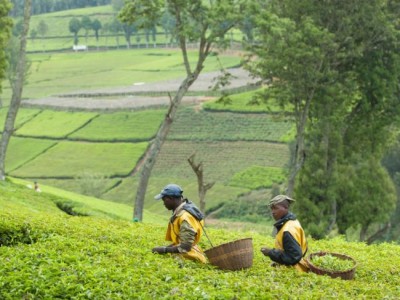 Governments, businesses â€˜walk the talkâ€™ for investment in sustainable development: UN forum