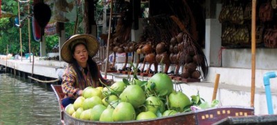 Preserving biodiversity vital to reverse tide of climate change, UN stresses on International Day 