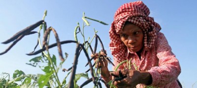 Amidst high trade tensions and policy uncertainty, UN cuts economic growth forecast