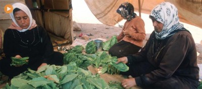 Stress, overtime, disease, contribute to 2.8 million workersâ€™ deaths per year, reports UN labour agency