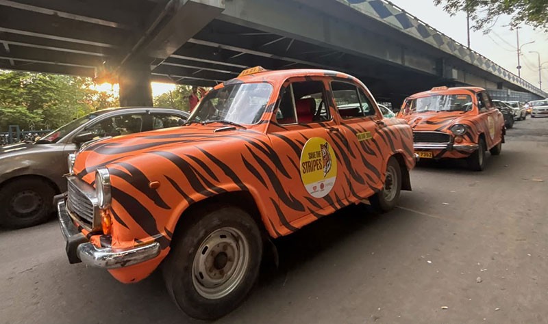 In Images: Tiger Taxis Flagged Off in Kolkata on the eve of International Tiger Day