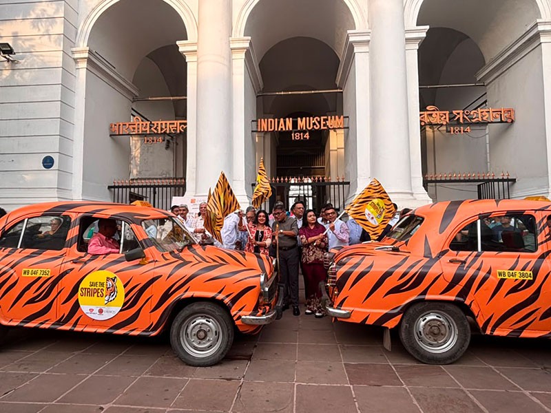 In Images: Tiger Taxis Flagged Off in Kolkata on the eve of International Tiger Day