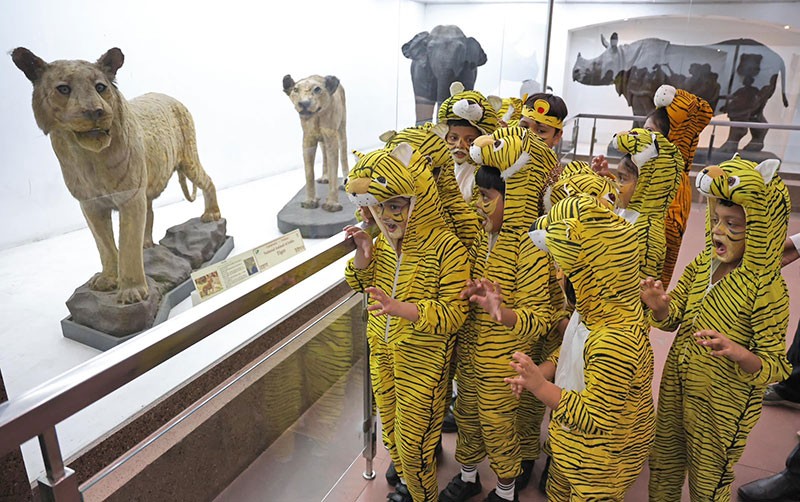 Indian Museum Kolkata celebrates International Tiger Day