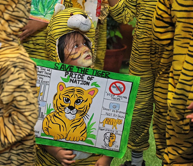 Indian Museum Kolkata celebrates International Tiger Day
