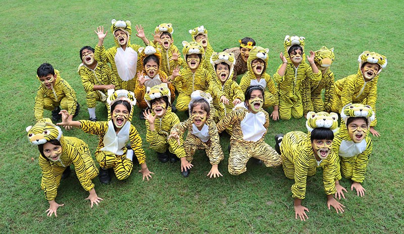 Indian Museum Kolkata celebrates International Tiger Day