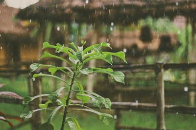 Centre ramps up preparedness as El Niño threat looms; monsoon deficit narrows, says Shivraj Singh Chouhan