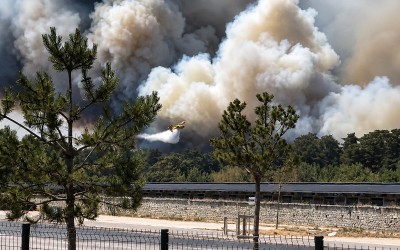 Europe heatwaves: France battles massive Fontainebleau wildfires near Paris; Spain identifies victims of deadly blaze