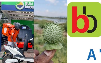 Amazon, Instamart, BigBasket in trouble over ‘poisonous’ Datura sale; Karnataka suspends food licences