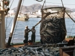 UN highlights growing role of aquaculture in providing jobs