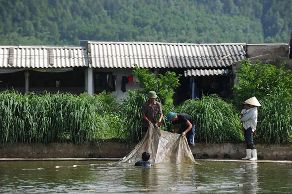 Uptick in fish farming to provide global nutrition boost â€“ UN agency report