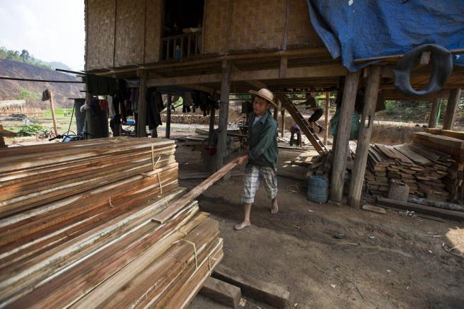 Global wood production in 2014 shows biggest jump since economic crisis, says UN agency