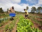 Small farmers can be major actors in reducing agriculture's carbon footprint - UN agency