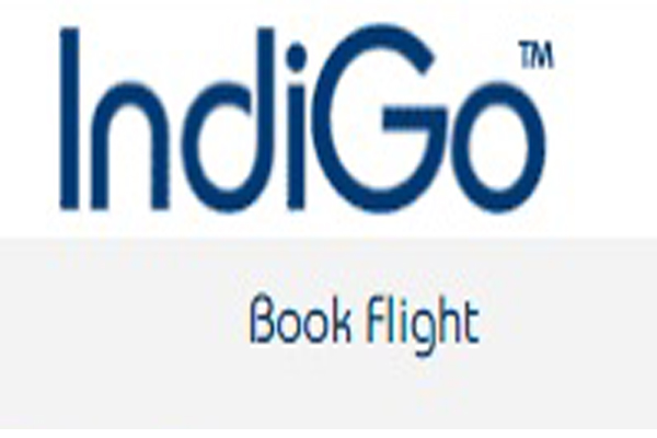 IndiGo confirms order for 250 A320neo planes
