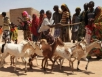 Agriculture support â€˜criticalâ€™ for Horn of Africa as region braces for another hunger season
