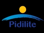 Pidilite Industries, WD-40 Company enter tie-up for multi-purpose spray in India