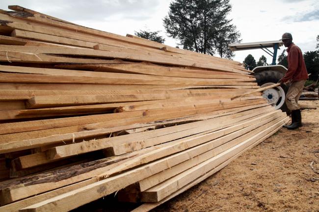 UN agency reports rises in wood production and demand for bioenergy