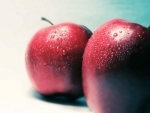 Fruit importer IG International ventures into direct export of fruits