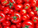 Rise in tomato prices lead to high demand for puree/ketch up: ASSOCHAM