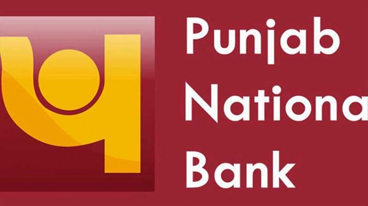 PNB posts 7.12 pc YoY profit at Rs. 247 crore in Q 3