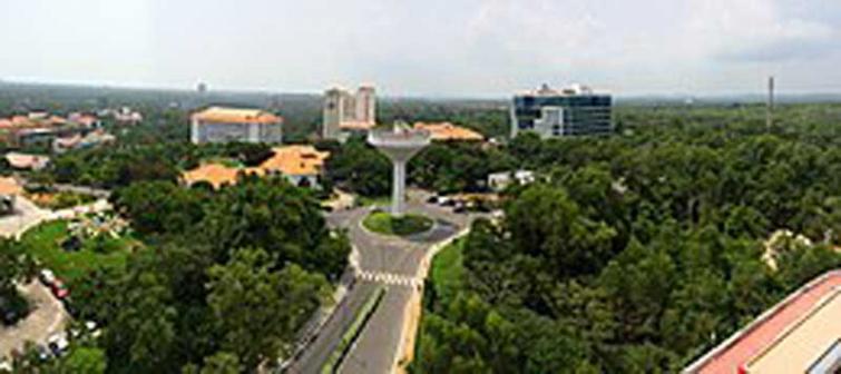 Thiruvananthapuram: US-based Apolis to set up Global Delivery Hub in Technopark