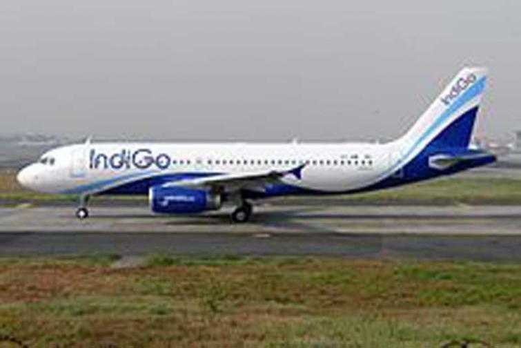 Aviation major IndiGo's profit rises by five times; stands at Rs 590 cr in Q4