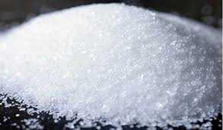 Sugar rates steady in Kolhapur market today