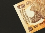 Indian RupeeÂ rises 5 paise against USD
