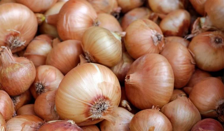 Onion farmers suspend auction, stage agitation in Nashik over export ban