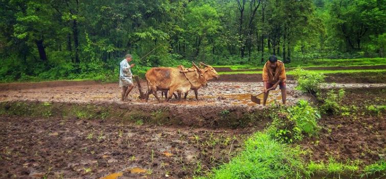 AgriTech Marketplace SafalFasal unlocks financial access for 75,000 Indian farmers