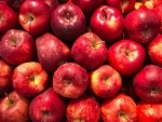 Apple yield hits lowest in a decade in Himachal Pradesh