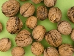 Jammu and Kashmir farmers hopeful about good profit from walnut cultivation