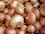 Nashik: Onion prices move up by Rs 350 per quintal
