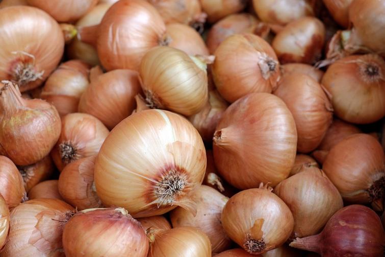 Nashik: Onion prices move up by Rs 350 per quintal