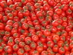 Tomato supply eases, prices down by 12.89 pc over last week and 23.69 pc as compared to last one month