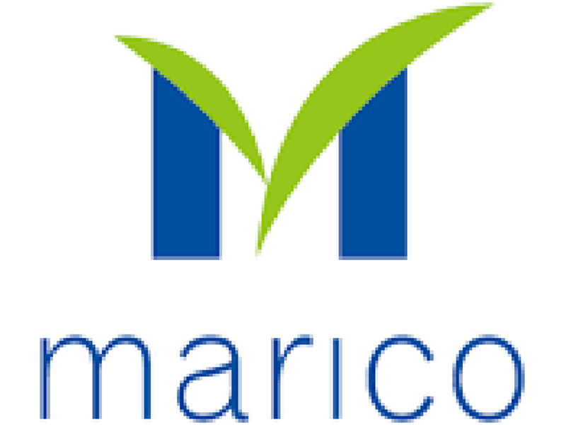 MARICO Q3 consolidated net profit rises by 12.87 pc to Rs 307 crores