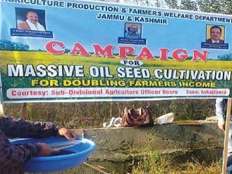 Govt aims to double oilseed production in Kashmir