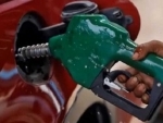 Fuel prices remain steady