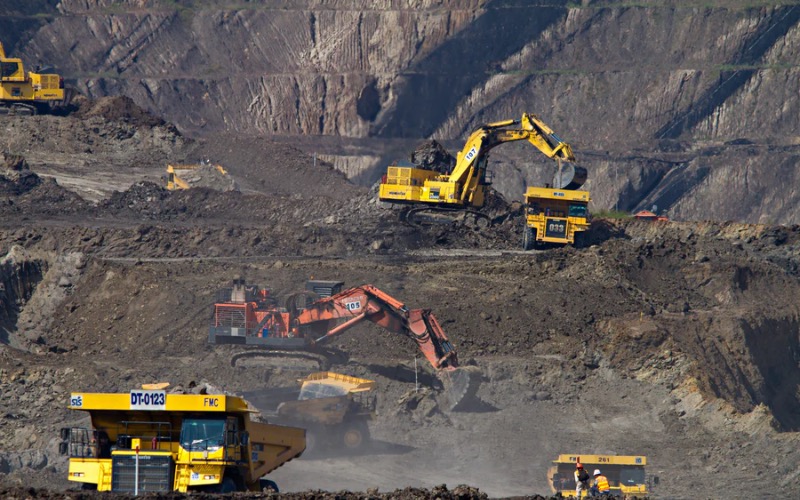 31 companies submit bids for commercial coal mining auction