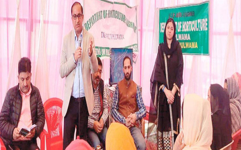 Strawberry farming can fetch high returns in Jammu and Kashmir: DG Horticulture