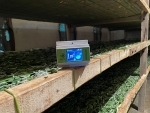 ReshaMandi launches version 2.0 of its IoT device to assist farmers in improving crop quality
