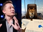 Elon Musk posts pic of his dog as Twitter CEO, sets canine crypto soaring
