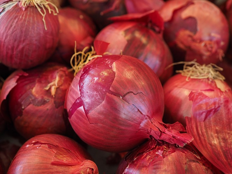 Govt to increase onion supplies to prevent prices from skyrocketing during festive season