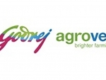 Godrej Agrovet Q4FY24 results: Consolidated net profit jumps to Rs 65.48 cr, revenue improves by 1.8%