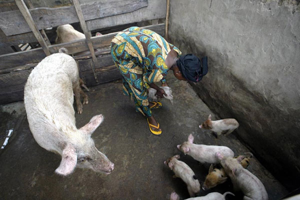Pork tapeworm infection among leading causes of epilepsy worldwide-UN health agency