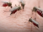 World Malaria Day: UN seeks near zero preventable deaths