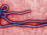 Chennai: Man shows no Ebola symptoms, discharged from hospital